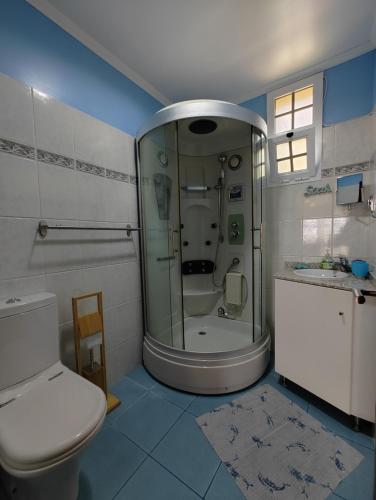 a bathroom with a shower and a toilet at Casa Rosa - Vereda da Ilha in Santana