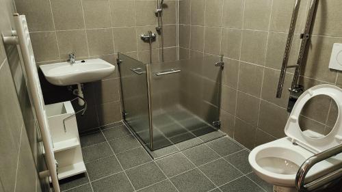 W łazience znajduje się prysznic, toaleta i umywalka. w obiekcie Apartmány Javorník w Javorníku