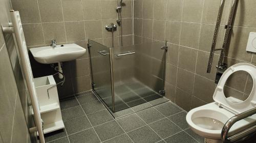a bathroom with a shower and a toilet and a sink at Apartmány Javorník in Javorník