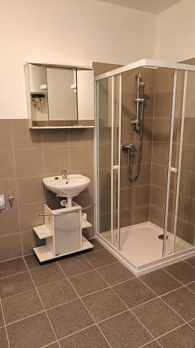a bathroom with a sink and a shower at Apartmány Javorník in Javorník