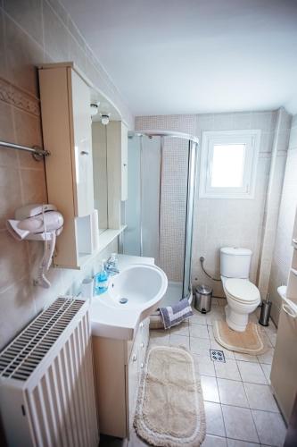 a bathroom with a sink and a toilet at DAFNI'S HOME in Volos