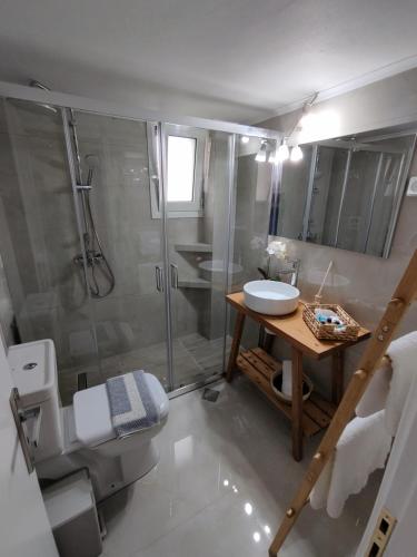 a bathroom with a shower and a sink and a toilet at Nini's Houses in Nydri
