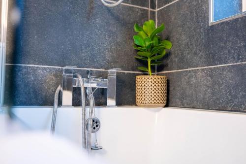 La salle de bains est pourvue d'un lavabo avec un robinet et une plante. dans l'établissement 3 BR House BHX HS2 Contractor Solihull FREE Parking, à Sheldon