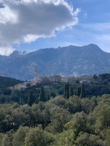 - une vue sur une ville avec des montagnes en arrière-plan dans l'établissement A Furtezza, à Soveria