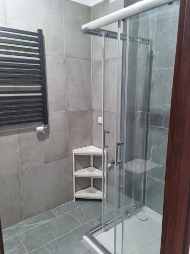 bagno con doccia e porta in vetro di Apartament Nad Wisłą a Tczew