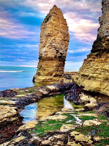 a large rock formation on the shore of the ocean at Revelstoke Hotel in Bridlington
