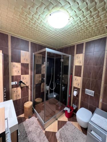een badkamer met een douche en een toilet bij Prémium Apartman Nyíregyháza in Nyíregyháza