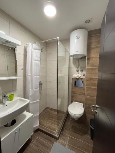 a bathroom with a toilet and a shower and a sink at Apartman S2 in Ostrovo