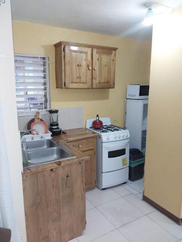 a small kitchen with a stove and a sink at 11 Glenhope Avenue in Kingston