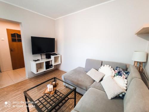 uma sala de estar com um sofá e uma televisão em Apartament boBoski em Wadowice