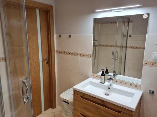La salle de bains est pourvue d'un lavabo et d'une douche avec un miroir. dans l'établissement Golden Sand, à Międzyzdroje