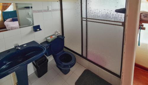 La salle de bains est pourvue de toilettes bleues et d'un lavabo. dans l'établissement CABAÑA PRADO VERDE, à Firavitoba