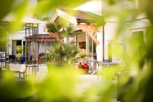 Un jardín fuera de Hotel Marica