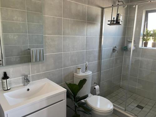 a bathroom with a sink and a toilet and a shower at Luxury one bedroom apartment in Somerset West