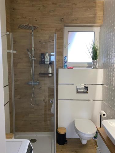 un bagno con doccia, wc e lavandino di Marchewkowy a Siemiany