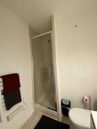 une salle de bain avec une douche, des toilettes et un lavabo dans l'établissement Disneyland Paris - Calm & Cute STUDIO 6 Mins from RER A!, à Torcy