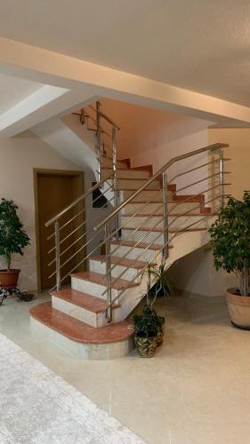 a spiral staircase in a building with potted plants at Apartments Nuhi in Ulcinj