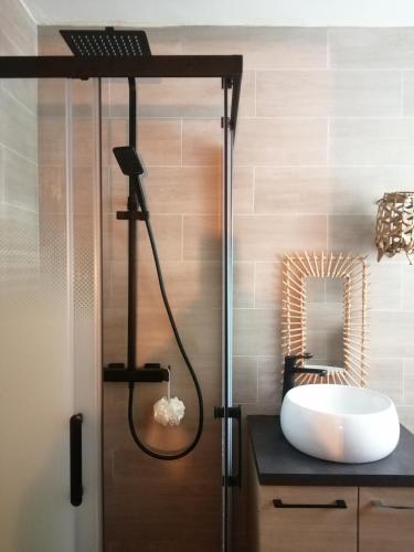 une salle de bain avec un lavabo et une douche dans l'établissement appartement cosy situé à 2mn de la plage à pied climatise, à Villefranche-sur-Mer