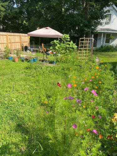a yard with a field of grass and flowers at Studio Apt w Garden in Kingston