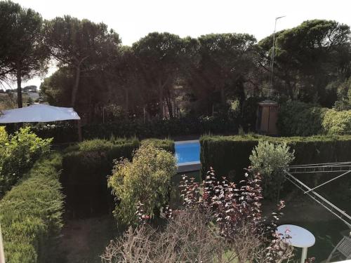 a garden with a swimming pool and some bushes at Casa con piscina Sant Pol de Mar in San Pol de Mar