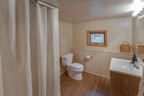 uma casa de banho com um WC e um lavatório em Dog Friendly Leech Lake Home w Perfect Beach Garage Boat Lift em Walker