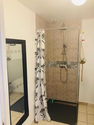 La salle de bains est pourvue d'une douche avec rideau de douche. dans l'établissement Petite maison à la campagne, à Saint-Germain