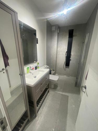 y baño con lavabo, aseo y ducha. en Apartament cu scara interioară, en Floreşti