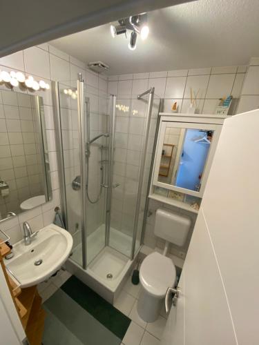 a bathroom with a shower and a toilet and a sink at Apartment Luise in Friedrichskoog