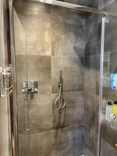 a shower with a glass door in a bathroom at Bed & Breakfast Danina in Sassenheim