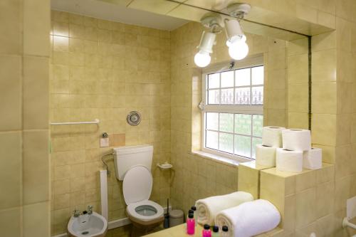 bagno con servizi igienici, lavandino e specchio di Casa de Família ad Angra do Heroísmo