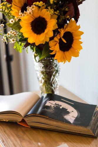 Gallery image of Helianthus Guesthouse in Ammouliani