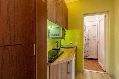 Kuchyň nebo kuchyňský kout v ubytování DreamSea Apartment