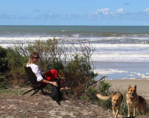 a woman sitting in a chair on the beach with two dogs at Guesthouse Entre Campo y Mar in La Coronilla