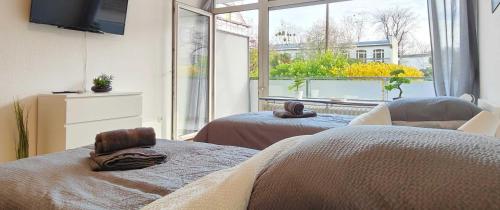 2 Betten in einem Zimmer mit einem großen Fenster in der Unterkunft Apartment in Hanau in Hanau am Main