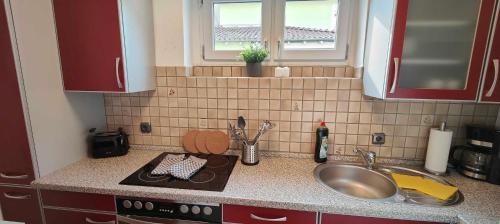 eine Küchentheke mit einem Waschbecken und einem Waschbecken in der Unterkunft Apartment in Hanau in Hanau am Main