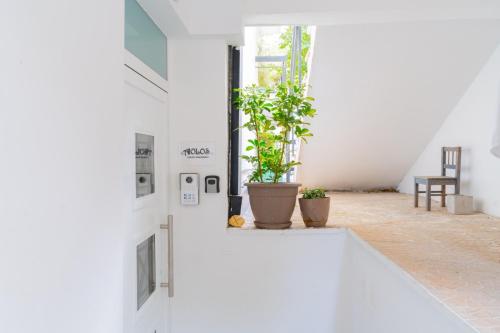 a white hallway with two potted plants and a window at AIOLOS LUXURY alimos market apartment 2 near the sea in Athens