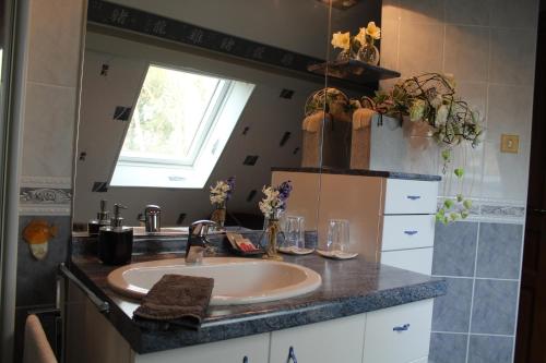 a bathroom with a sink and a mirror at La Renaudiere en bourgogne in Gergy