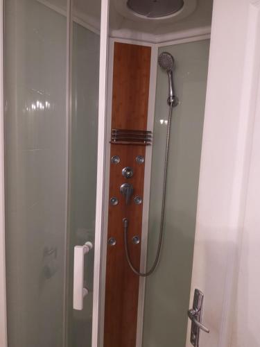 La salle de bains est pourvue d'une douche et d'une porte en bois. dans l'établissement LE RELAIS BLEU, à Capestang