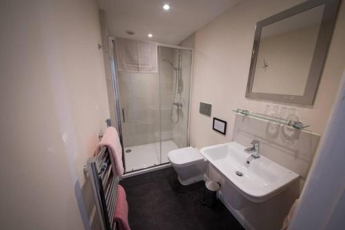 a bathroom with a sink and a shower and a toilet at Rural cottage with swimming pool! in High Halden