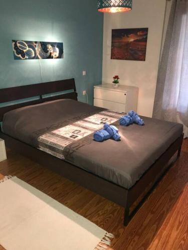 Cozy apartment near the hospital