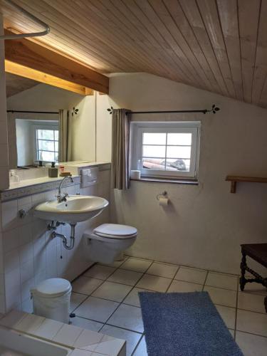 une salle de bain avec un lavabo et des toilettes et une fenêtre dans l'établissement La Grange Vercors, à Les Maillets