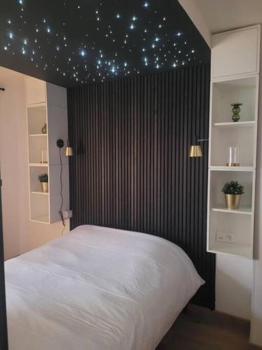a bedroom with a bed with stars on the ceiling at Mon ciel étoilé in Berck-sur-Mer