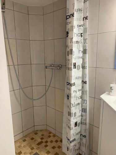 une douche avec un rideau de douche dans une salle de bain dans l'établissement Studio calme et agréable avec acces jardin partage, à Le Bar-sur-Loup