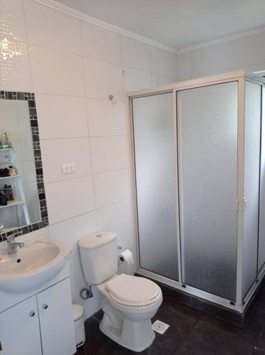 a bathroom with a shower and a toilet and a sink at Casa Lago Rupanco in Puerto Rico
