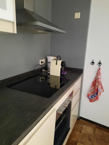 Gallery image of Anno 1877 appartement met tuin in Slenaken
