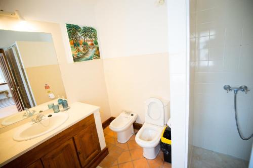 a bathroom with a sink and a toilet and a shower at 2Bedroom house with Swimming Pool and View in Moçarria