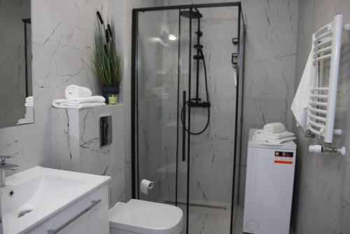 a bathroom with a shower and a toilet and a sink at NAD LISIM JAREM 2 in Jastrzębia Góra