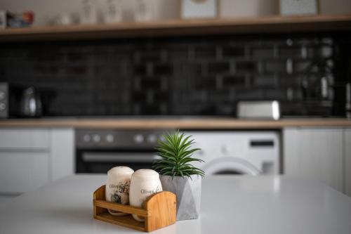 a kitchen with a table with a plant in a tray at Városi Apartman in Pécs