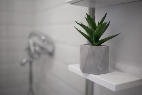 a plant in a pot sitting on a shelf in a bathroom at Városi Apartman in Pécs