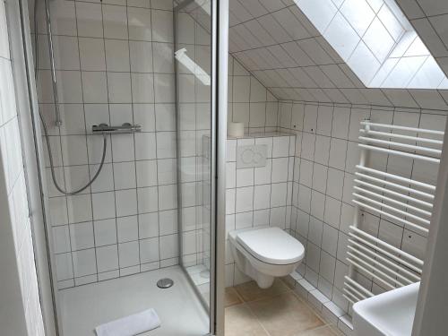 a white bathroom with a shower and a toilet at Ferienwohnung-Wenke in Tönning